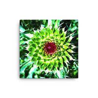Thistle under high noon bright sun - Canvas