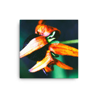 Petals wrapping around flowerhead - Canvas