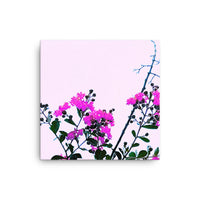 Impressions of flowering tree top - Canvas