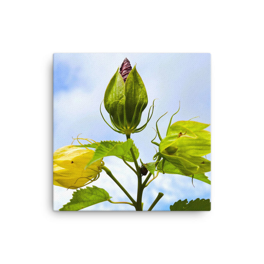 Regal plant - Canvas
