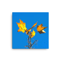 Four Fall leaves - Canvas