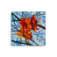 Fallen leaf in twigs - Canvas
