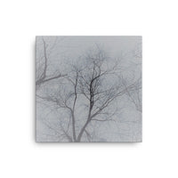 Intersecting small branches - Canvas