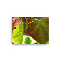 Textures of three leaves - Canvas