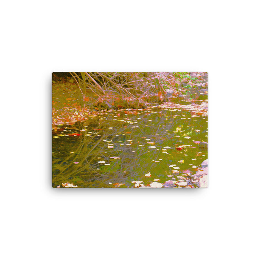 Leaves along a creek - Canvas