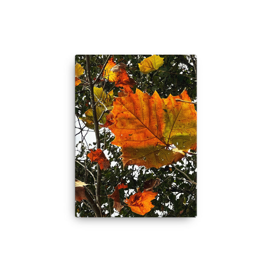 Big multicolored leaf and friends - Canvas