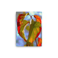 Green/Red Leaves- Canvas