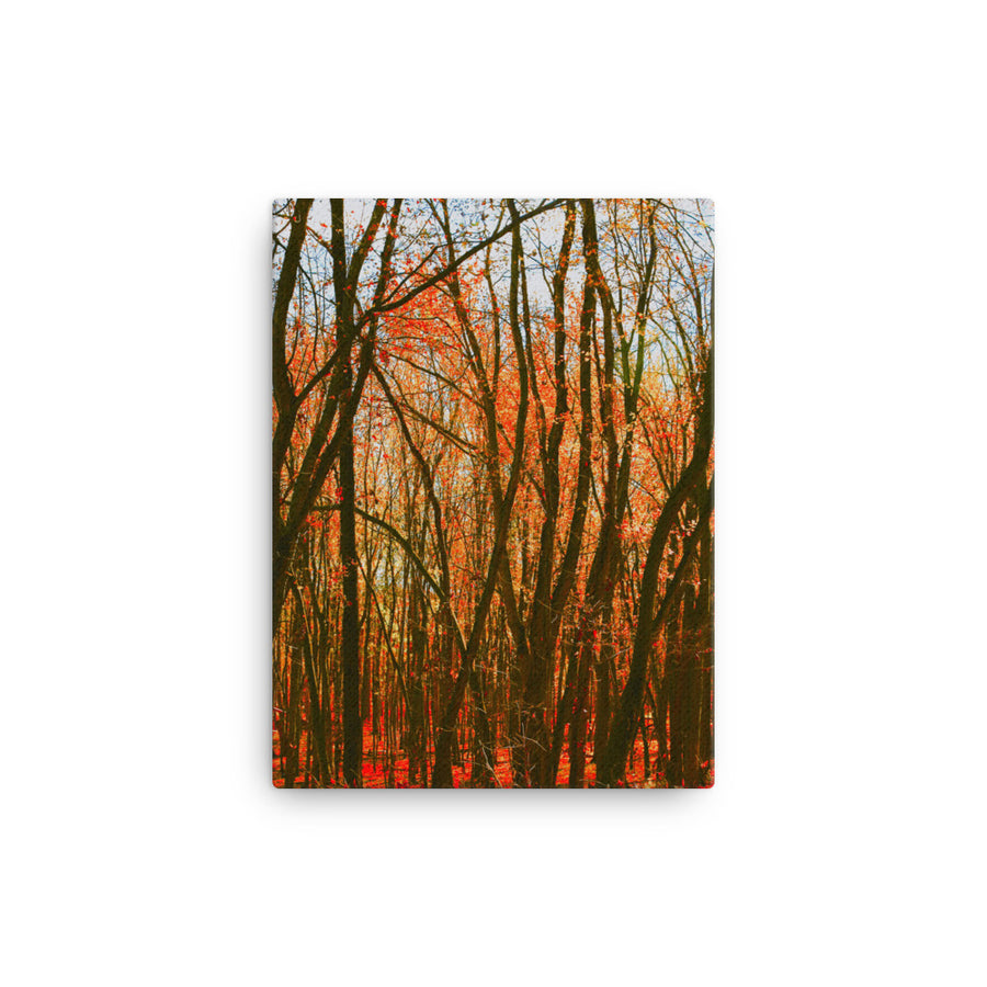 Impressions of Fall Forest - Canvas