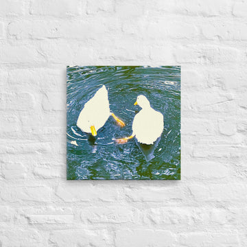 Circling geese - Canvas