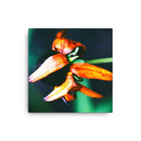 Petals wrapping around flowerhead - Canvas