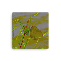 Red border leaf - Canvas