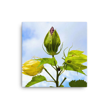 Regal plant - Canvas