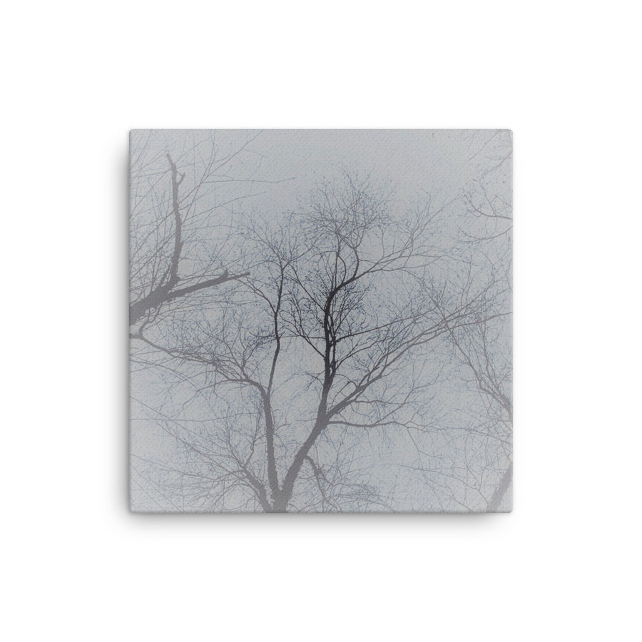 Intersecting small branches - Canvas