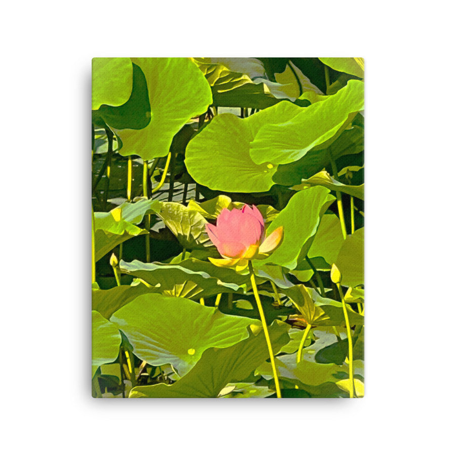 Flower among lilies- Canvas