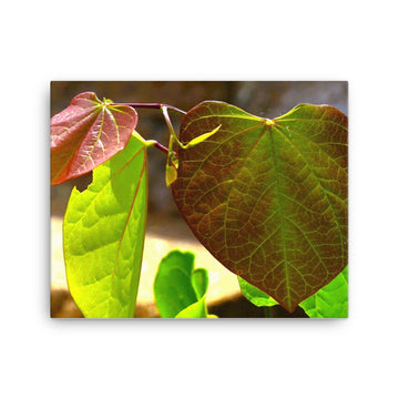 Textures of three leaves - Canvas
