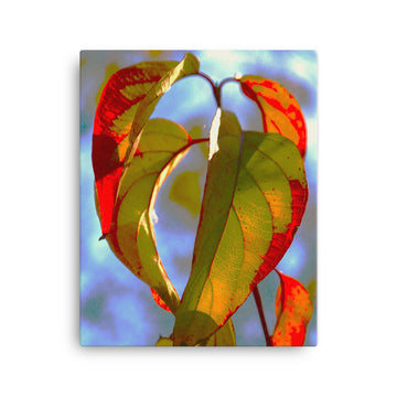 Green/Red Leaves- Canvas