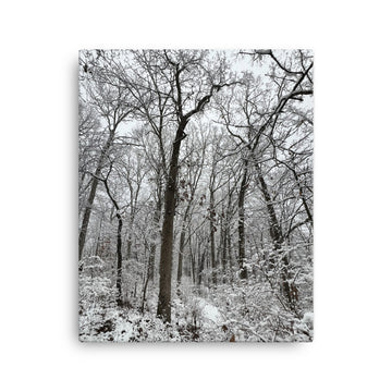 Winter-Canvas