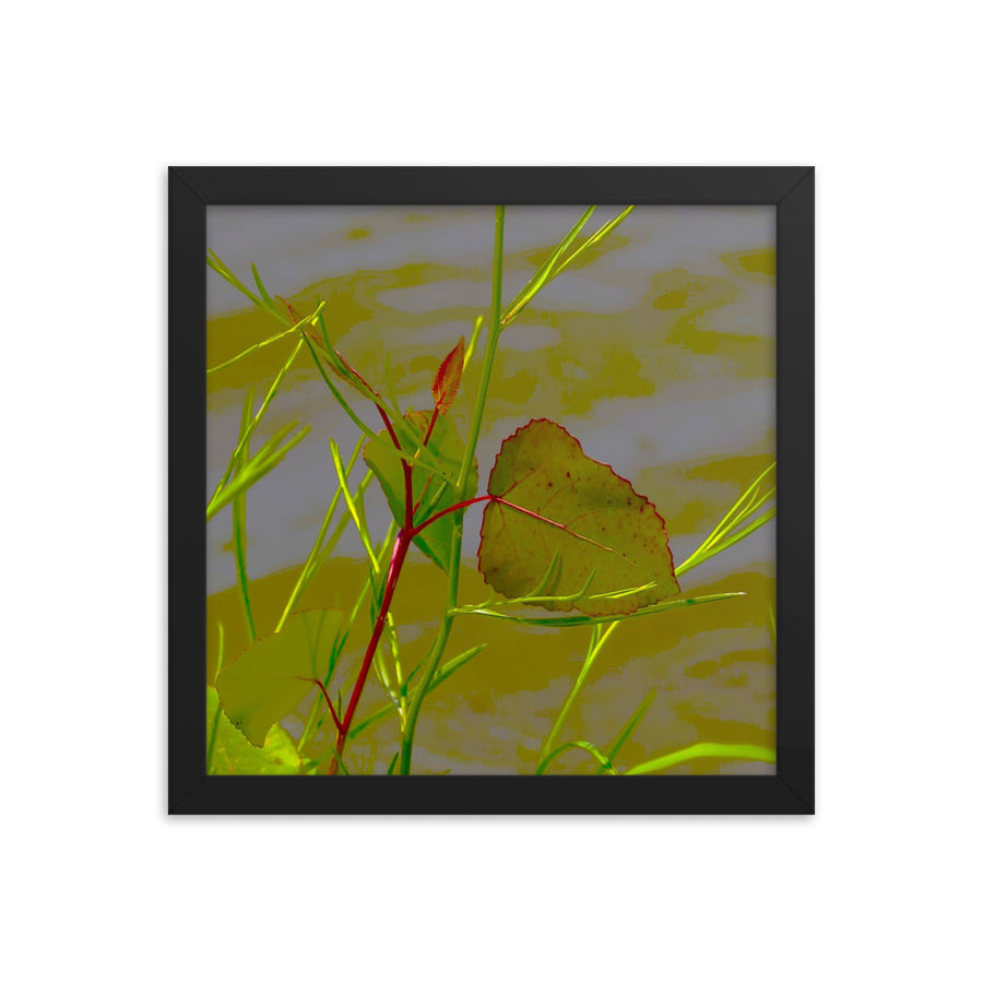 Red border leaf - Framed