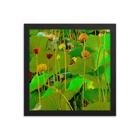 Fall flowers and lilies - Framed