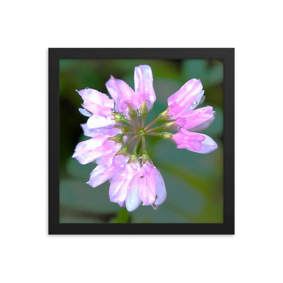 Pastel wildflower petals - Framed