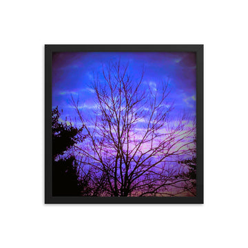 Bare tree with evening sky - Framed