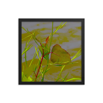 Red border leaf - Framed