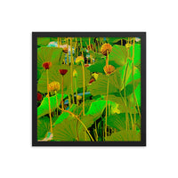 Fall flowers and lilies - Framed