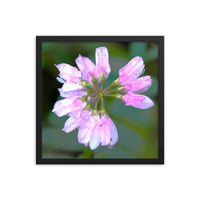 Pastel wildflower petals - Framed