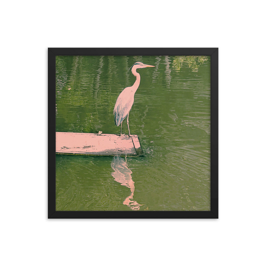 Great Blue Heron water reflection - Framed