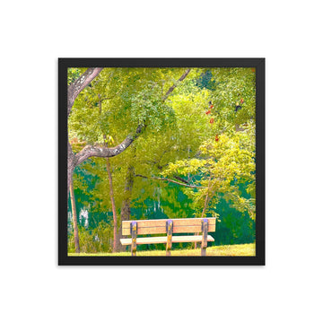 Bench overlooking trees and lake - Framed