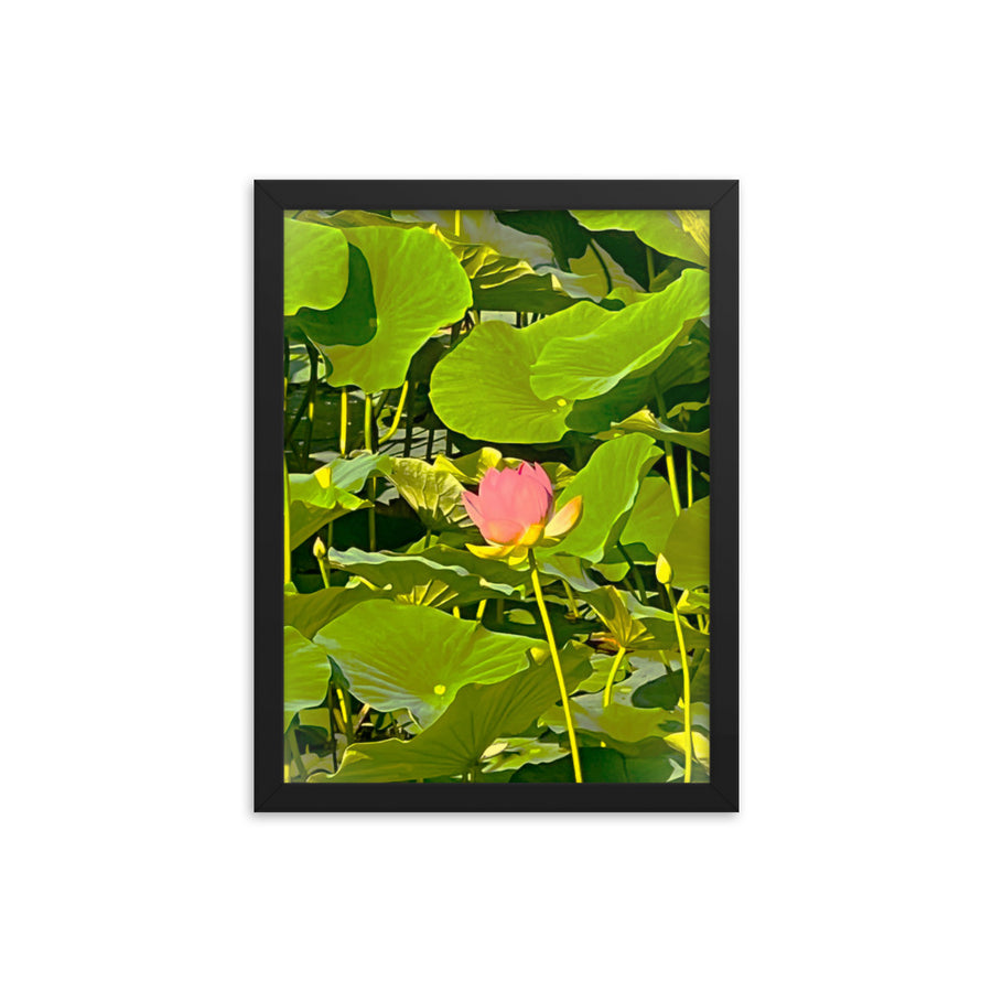Flower among lilies- Framed