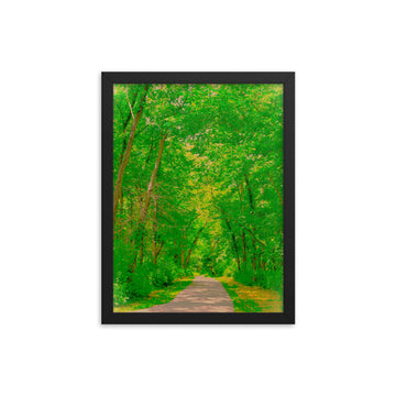 Impressions of tree arched pathway- Framed