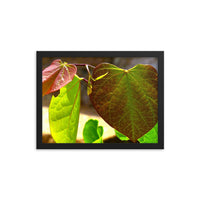 Texture of three leaves - Framed