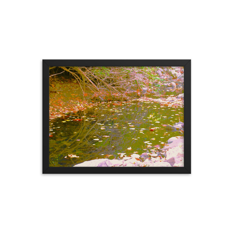 Leaves along a creek - Framed