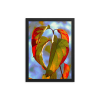 Green/Red Leaves - Framed