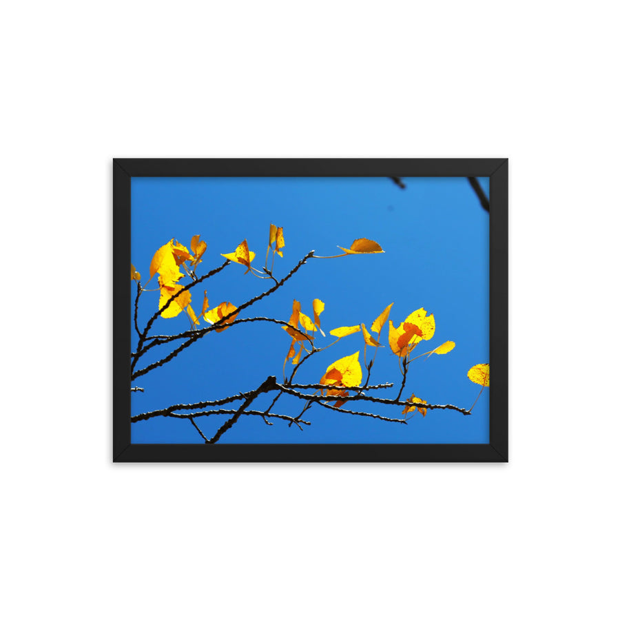 Dancing leaves - Framed