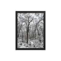 Winter-Framed