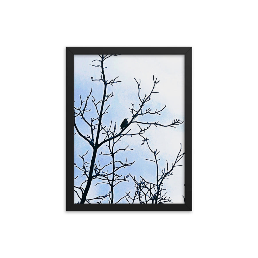 Bird-Framed