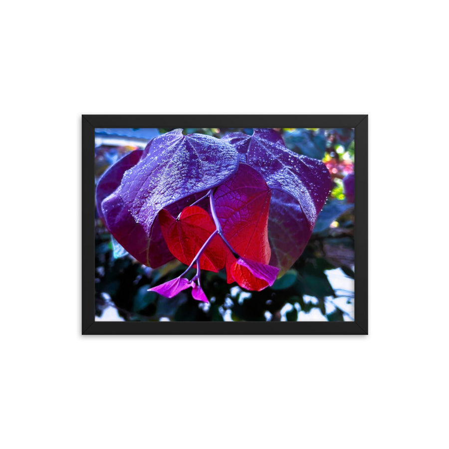 Purple and red leaves after rain- Framed