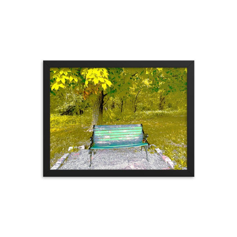 Worn bench in park - Framed