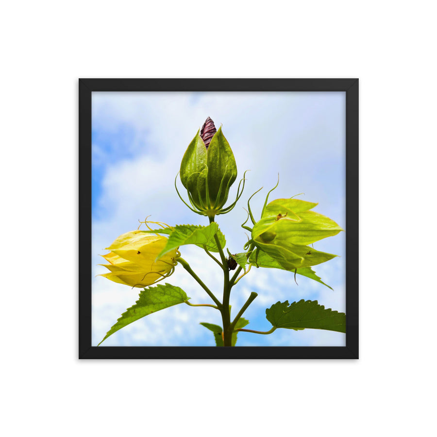 Regal plant - Framed