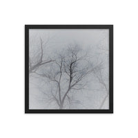 Intersecting small branches - Framed