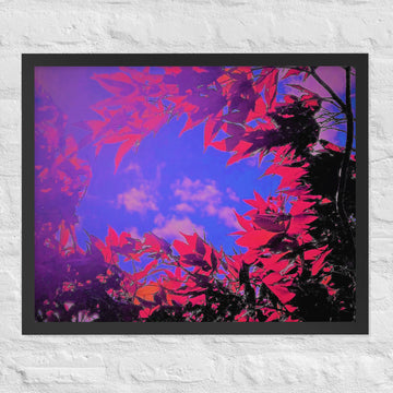 Vivid red leaves circling clouds-Framed