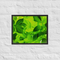 Light filtering among shades of leaves - Framed