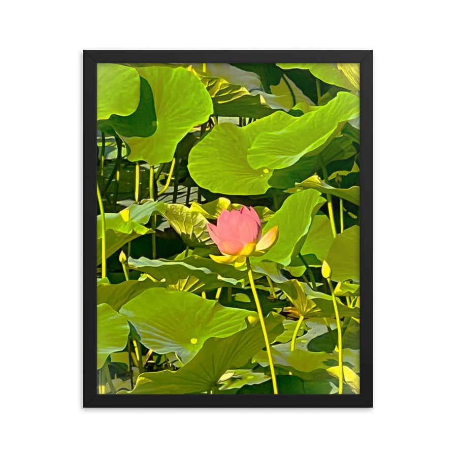 Flower among lilies- Framed