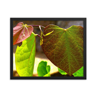 Texture of three leaves - Framed
