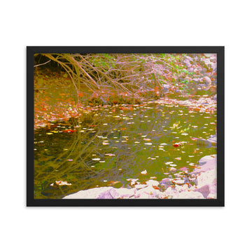 Leaves along a creek - Framed