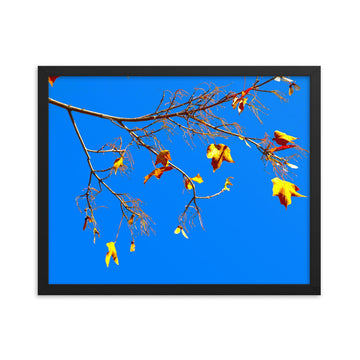 Yet to fall leaves from a branch - Framed