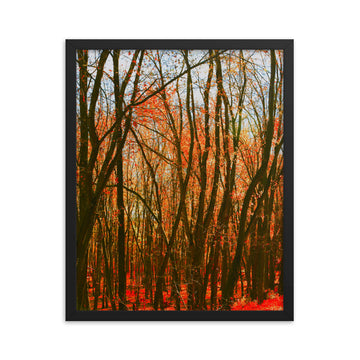 Impressions of Fall Forest - Framed