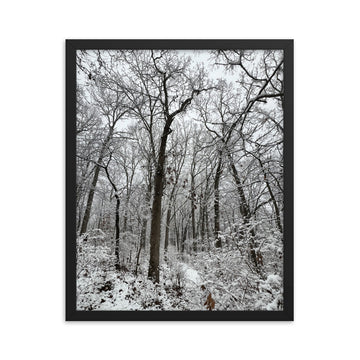 Winter-Framed